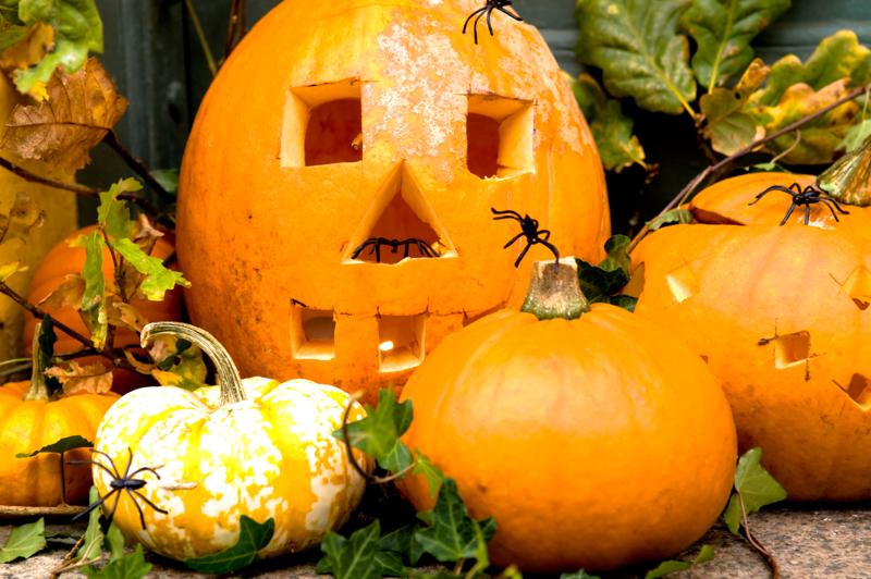  D3C_4913.jpg </br ><small> 2008-10-13 12:26</br >NIKON D300 55mm 1/80s f/5 ISO 400</small>