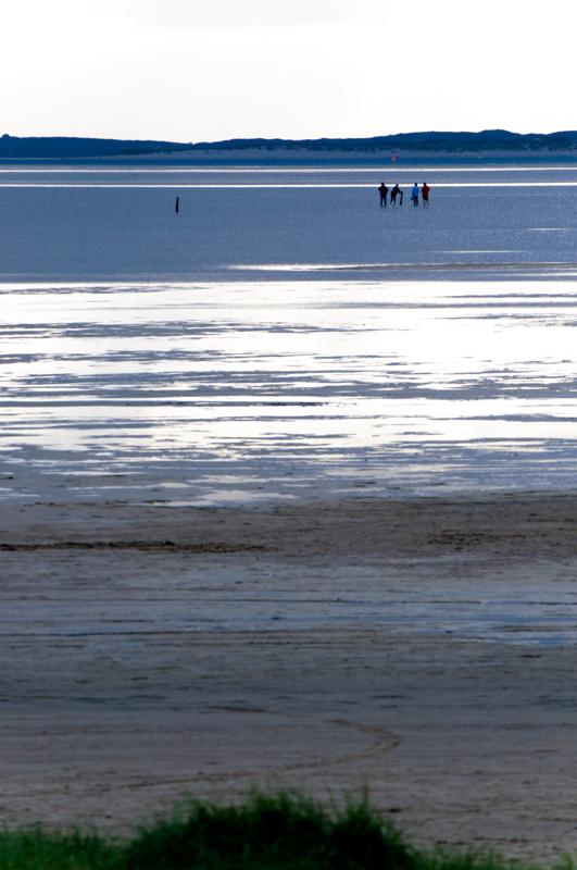  D3C_5038.jpg </br ><small> 2008-10-14 16:36</br >NIKON D300 200mm 1/320s f/8 ISO 200</small>