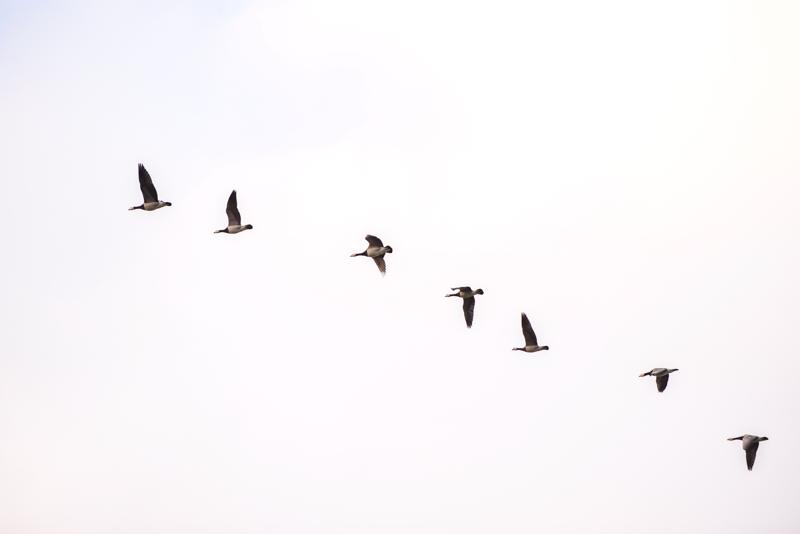  20121013_PB8_2540.JPG </br ><small> 2012-10-13 17:50</br >NIKON D800 + 70.0-200.0 mm f/2.8<br /> 180mm 1/800s f/4 ISO 200</small>