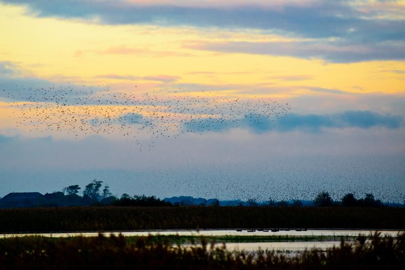  20121013_PB8_2561.JPG </br ><small> 2012-10-13 18:09</br >NIKON D800 + 70.0-200.0 mm f/2.8<br /> 200mm 1/400s f/5 ISO 450</small>