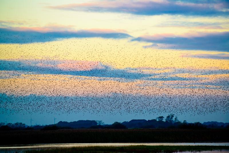  20121013_PB8_2568.JPG </br ><small> 2012-10-13 18:13</br >NIKON D800 + 70.0-200.0 mm f/2.8<br /> 200mm 1/400s f/5 ISO 560</small>