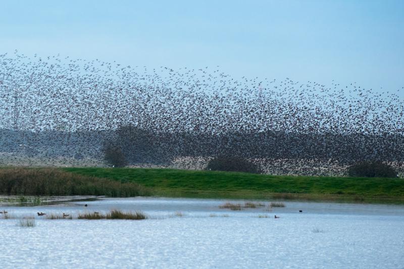  20121013_PB8_2573.JPG </br ><small> 2012-10-13 18:14</br >NIKON D800 + 70.0-200.0 mm f/2.8<br /> 200mm 1/400s f/5 ISO 2000</small>