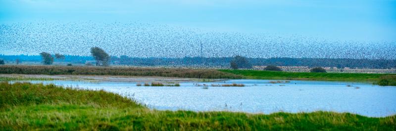  20121013_PB8_2574.JPG </br ><small> 2012-10-13 18:14</br >NIKON D800 + 70.0-200.0 mm f/2.8<br /> 110mm 1/250s f/5 ISO 1600</small>