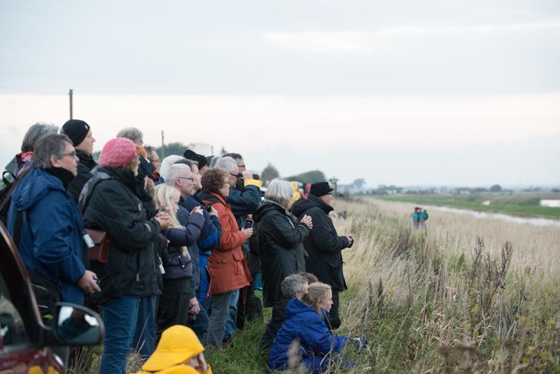  20121013_PB8_2602.JPG </br ><small> 2012-10-13 18:23</br >NIKON D800 + 70.0-200.0 mm f/2.8<br /> 120mm 1/250s f/5.6 ISO 4500</small>