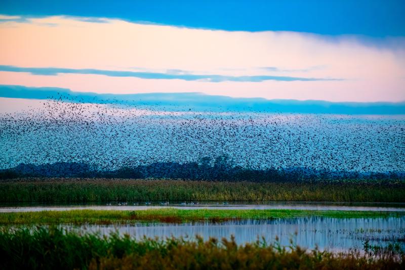  20121013_PB8_2617.JPG </br ><small> 2012-10-13 18:27</br >NIKON D800 + 70.0-200.0 mm f/2.8<br /> 200mm 1/400s f/4 ISO 2200</small>