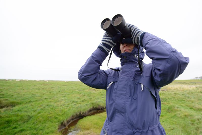  20121014_PB8_2638.JPG </br ><small> 2012-10-14 11:42</br >NIKON D800 + 14.0-24.0 mm f/2.8<br /> 14mm 1/500s f/4 ISO 200</small>