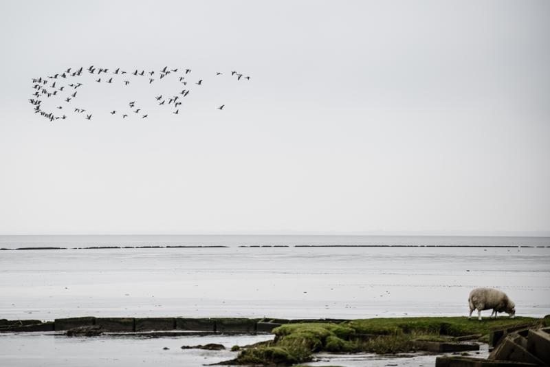  20121014_PB8_2653.JPG </br ><small> 2012-10-14 11:52</br >NIKON D800 + 70.0-200.0 mm f/2.8<br /> 160mm 1/800s f/4 ISO 200</small>