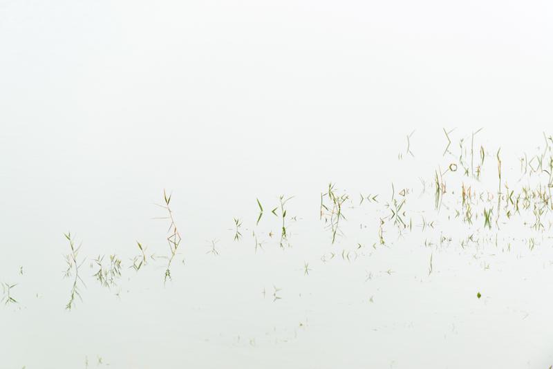  20121014_PB8_2661.JPG </br ><small> 2012-10-14 12:09</br >NIKON D800 + 70.0-200.0 mm f/2.8<br /> 200mm 1/400s f/5.6 ISO 560</small>