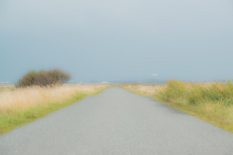  20121014_PB8_2719.JPG </br ><small> 2012-10-14 14:06</br >NIKON D800 + 70.0-200.0 mm f/2.8<br /> 200mm 1/400s f/11 ISO 720</small>