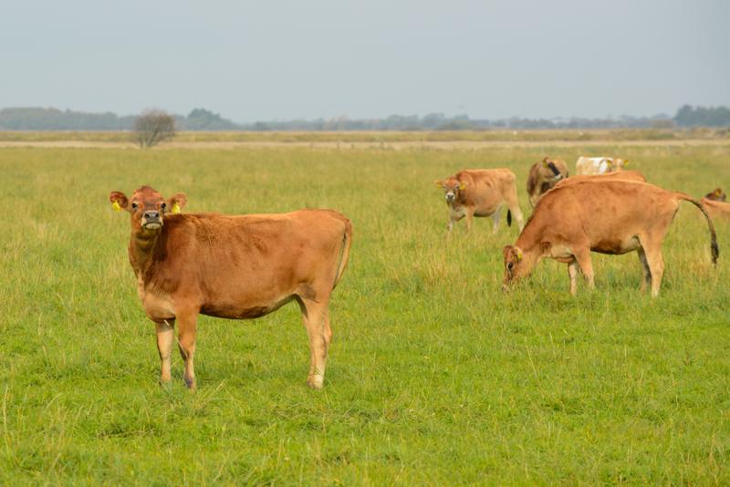  20121014_PB8_2723.JPG </br ><small> 2012-10-14 14:09</br >NIKON D800 + 70.0-200.0 mm f/2.8<br /> 200mm 1/400s f/8 ISO 400</small>