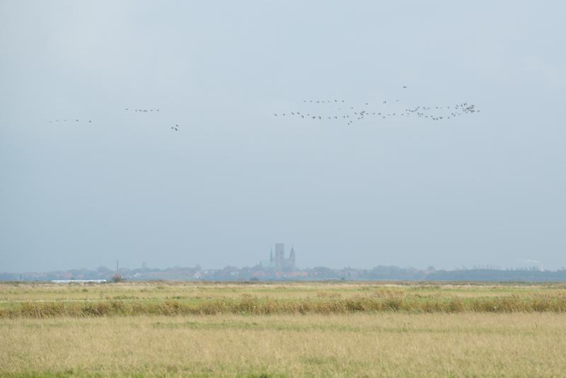  20121014_PB8_2731.JPG </br ><small> 2012-10-14 14:10</br >NIKON D800 + 70.0-200.0 mm f/2.8<br /> 175mm 1/640s f/6.3 ISO 200</small>