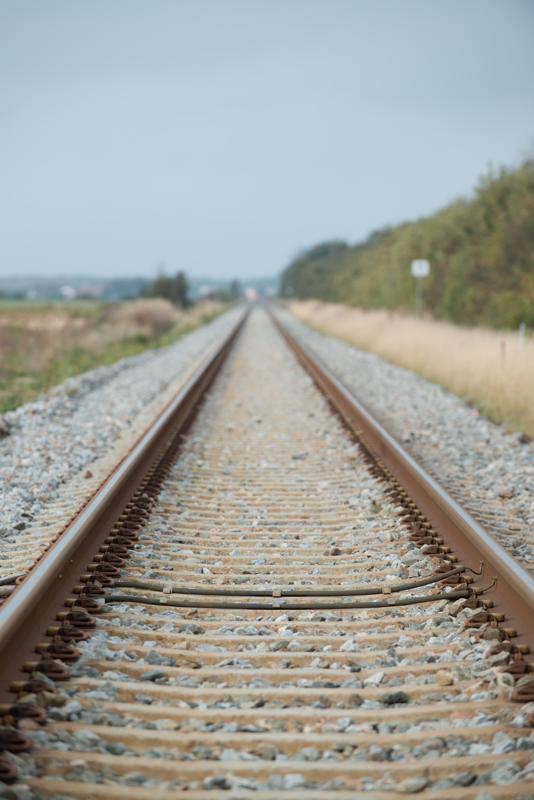  20121014_PB8_2742.JPG </br ><small> 2012-10-14 14:20</br >NIKON D800 + 70.0-200.0 mm f/2.8<br /> 200mm 1/400s f/6.3 ISO 200</small>