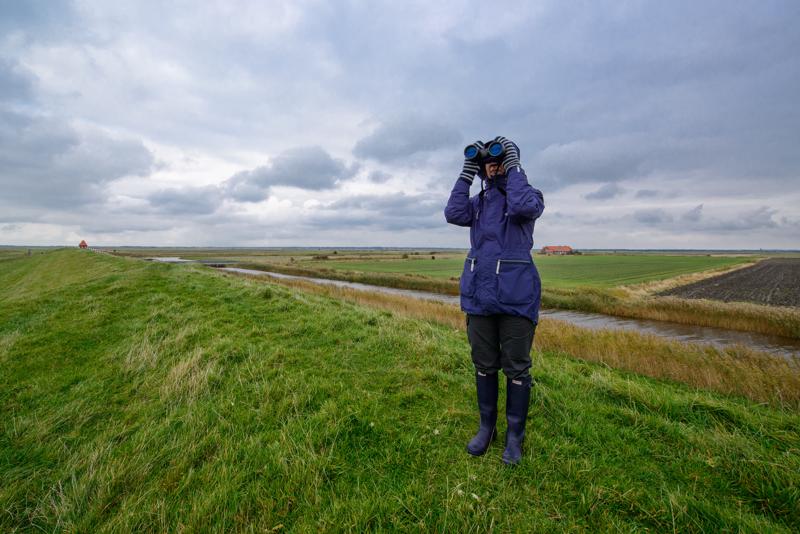  20121014_PB8_2748.JPG </br ><small> 2012-10-14 15:25</br >NIKON D800 + 14.0-24.0 mm f/2.8<br /> 14mm 1/400s f/6.3 ISO 200</small>