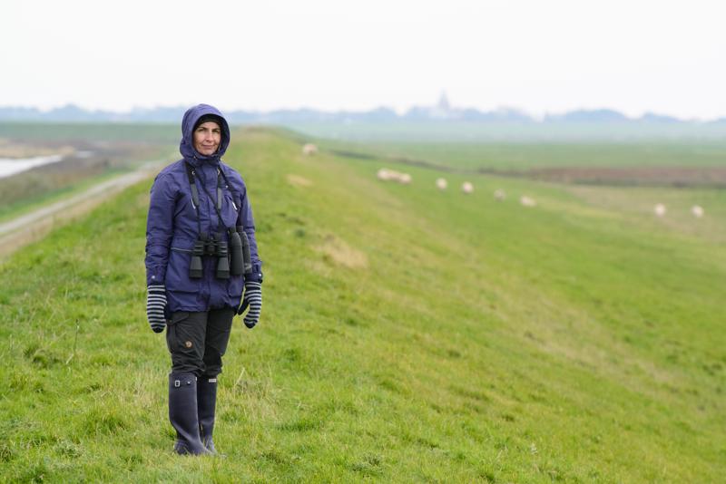  20121014_PB8_2757.JPG </br ><small> 2012-10-14 15:28</br >NIKON D800 + 70.0-200.0 mm f/2.8<br /> 280mm 1/640s f/9 ISO 2000</small>