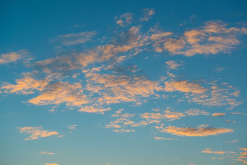  20121015_PB8_2905.JPG </br ><small> 2012-10-15 08:07</br >NIKON D800 + 24.0-70.0 mm f/2.8<br /> 62mm 1/800s f/7.1 ISO 400</small>