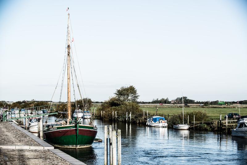  20121015_PB8_2922.JPG </br ><small> 2012-10-15 10:19</br >NIKON D800 + 70.0-200.0 mm f/2.8<br /> 82mm 1/640s f/5.6 ISO 100</small>