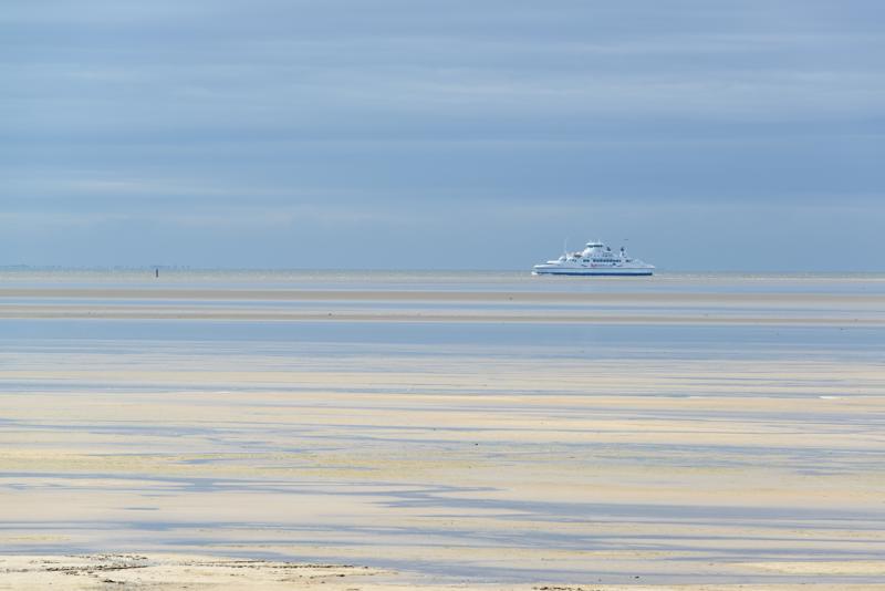  20121015_PB8_2948.JPG </br ><small> 2012-10-15 11:47</br >NIKON D800 + 70.0-200.0 mm f/2.8<br /> 200mm 1/400s f/9 ISO 220</small>