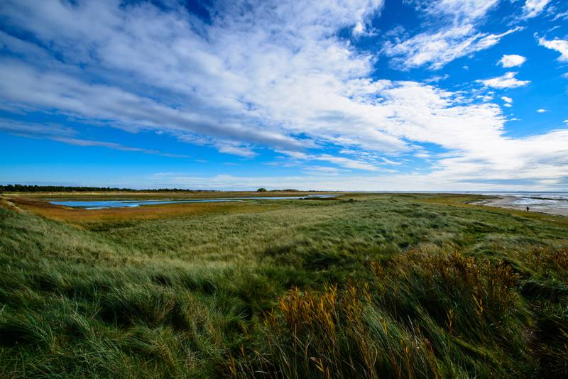  20121015_PB8_2958.JPG </br ><small> 2012-10-15 11:51</br >NIKON D800 + 14.0-24.0 mm f/2.8<br /> 14mm 1/320s f/9 ISO 100</small>