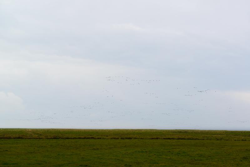  20121014_PB8_2683.JPG </br ><small> 2012-10-14 12:58</br >NIKON D800 + 24.0-70.0 mm f/2.8<br /> 70mm 1/320s f/9 ISO 200</small>