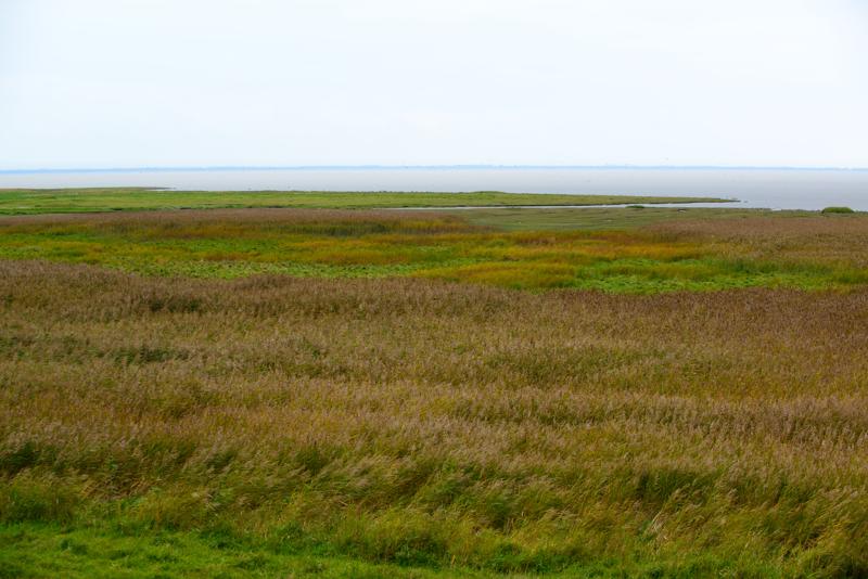  20121014_PB8_2812.JPG </br ><small> 2012-10-14 16:05</br >NIKON D800 + 70.0-200.0 mm f/2.8<br /> 70mm 1/160s f/5.6 ISO 220</small>