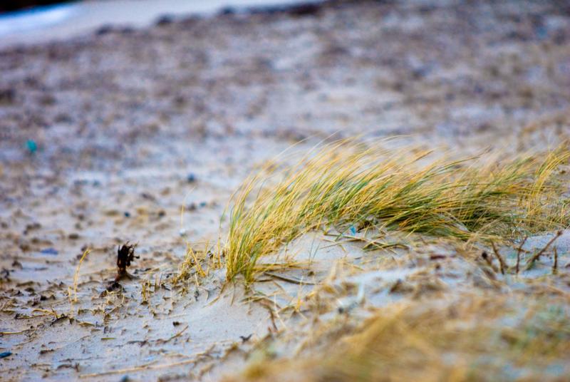  D2C_6726.jpg </br ><small> 2007-01-01 16:44</br >NIKON D200 200mm 1/60s f/2.8 ISO 250</small>