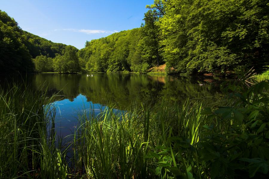 Nature Images