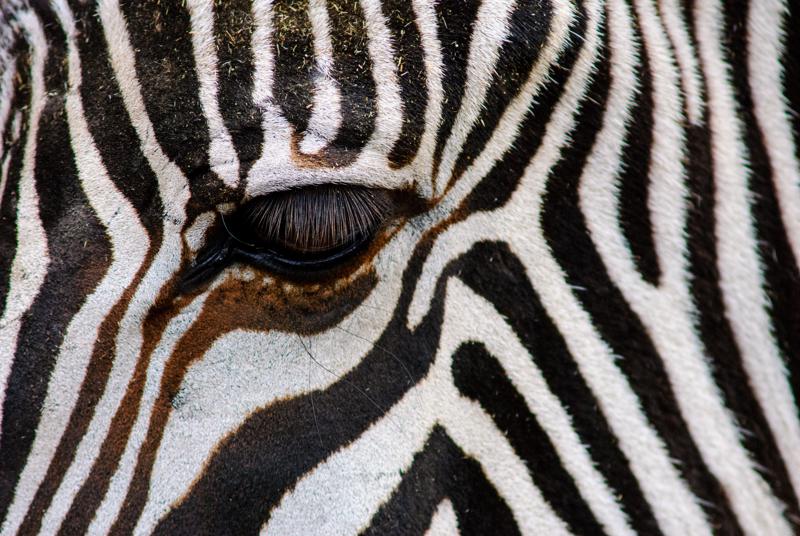  D2C_3905-2.JPG </br ><small> 2006-10-19 14:43</br >NIKON D200 + 70.0-210.0 mm f/4.0<br /> 210mm 1/320s f/5.6 ISO 800</small>