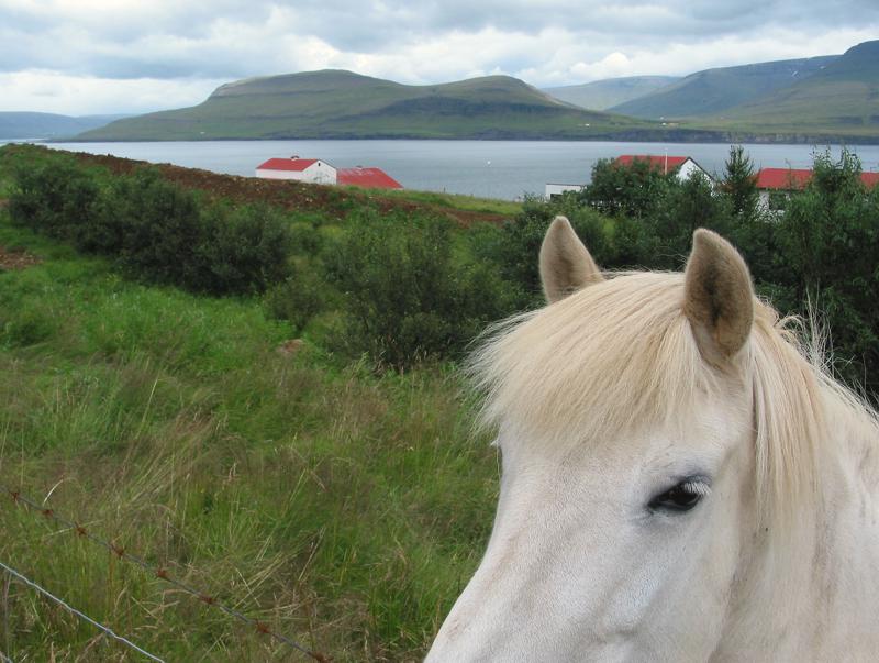  IMG_3843.jpg </br ><small> 2003-07-31 18:56</br >Canon PowerShot G2 7mm 1/200s f/5.6 </small>